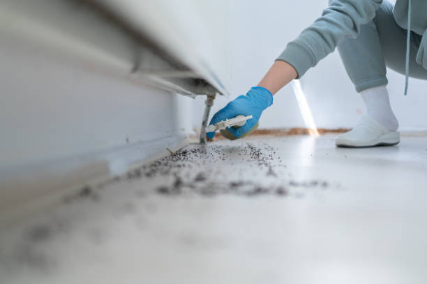 Best Bed Bug Extermination  in Fort Hood, TX